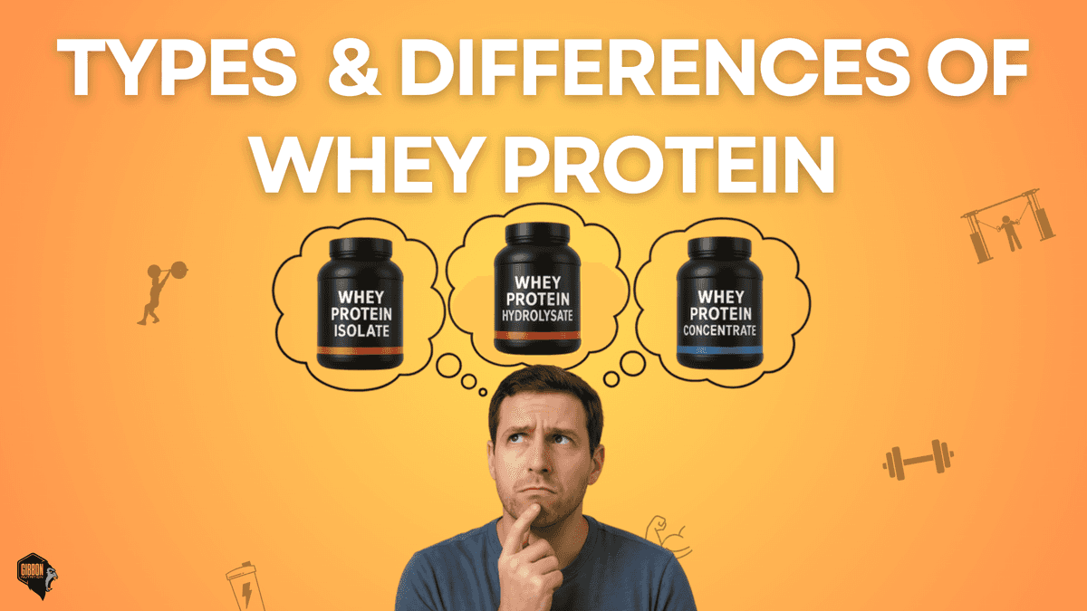 Types & Differences of Whey Protein Types & Differences of Whey Protein